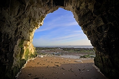 women s grateful dead shirts